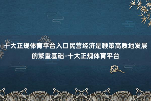 十大正规体育平台入口民营经济是鞭策高质地发展的繁重基础-十大正规体育平台