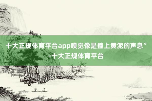 十大正规体育平台app嗅觉像是撞上黄泥的声息”-十大正规体育平台