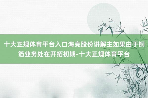 十大正规体育平台入口海亮股份讲解主如果由于铜箔业务处在开拓初期-十大正规体育平台