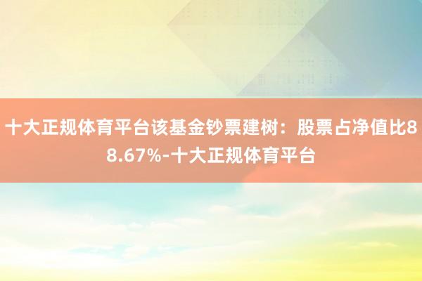 十大正规体育平台该基金钞票建树：股票占净值比88.67%-十大正规体育平台