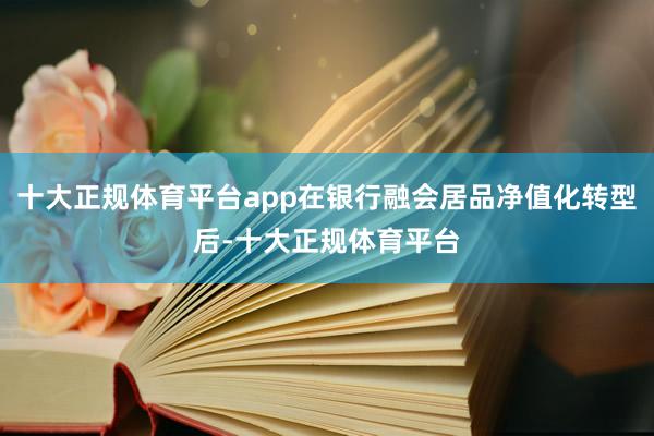 十大正规体育平台app在银行融会居品净值化转型后-十大正规体育平台