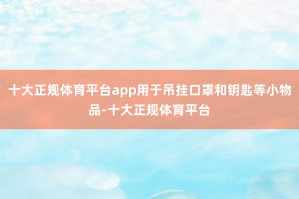 十大正规体育平台app用于吊挂口罩和钥匙等小物品-十大正规体育平台