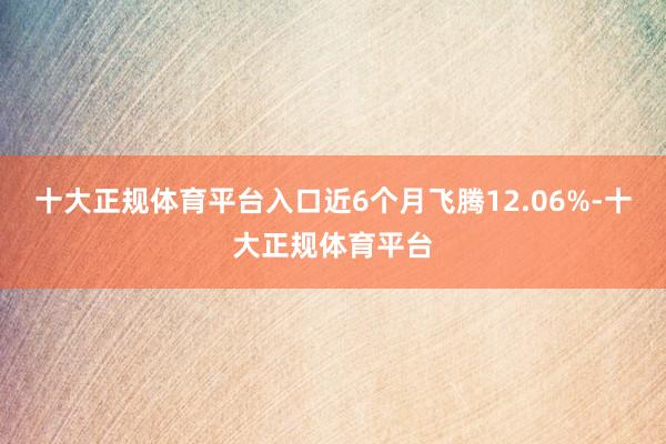 十大正规体育平台入口近6个月飞腾12.06%-十大正规体育平台