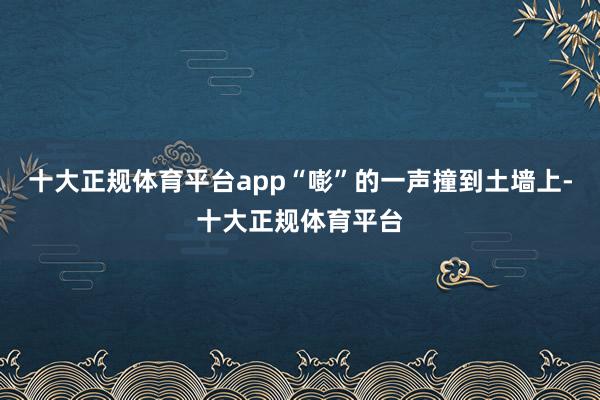 十大正规体育平台app“嘭”的一声撞到土墙上-十大正规体育平台